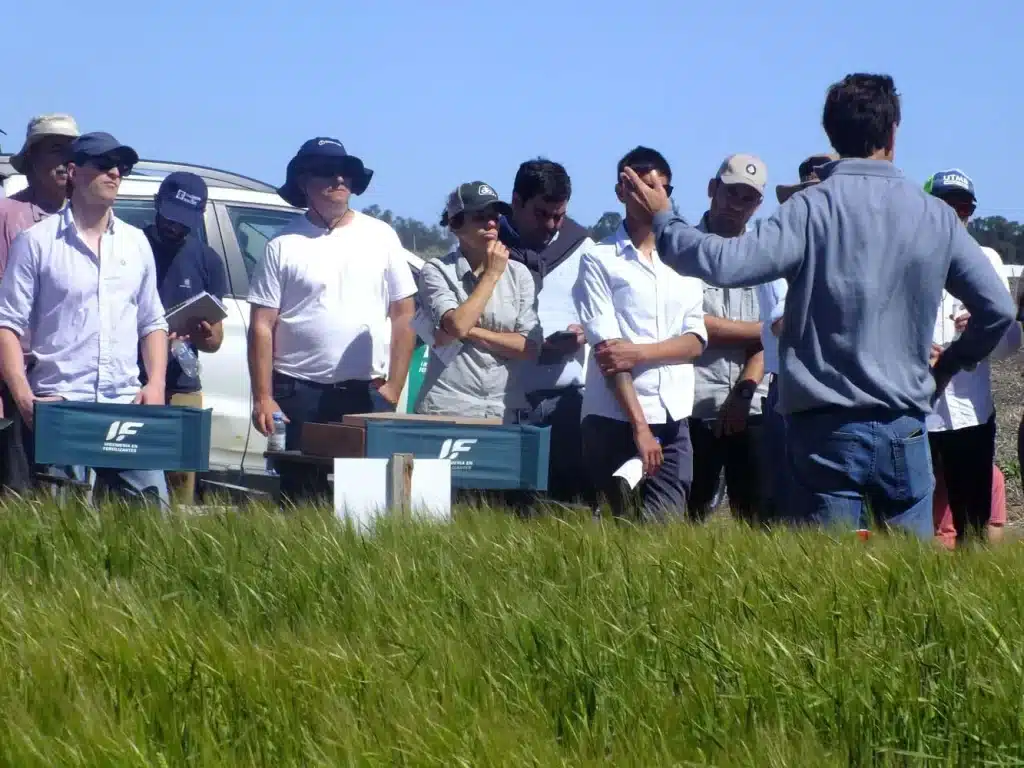 Jornada de Cebada - Orense 2024