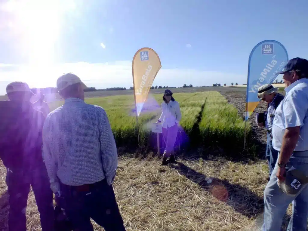 Jornada de Cebada - Orense 2024