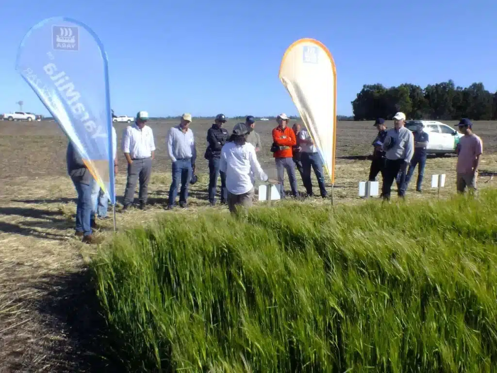 Jornada de Cebada - Orense 2024