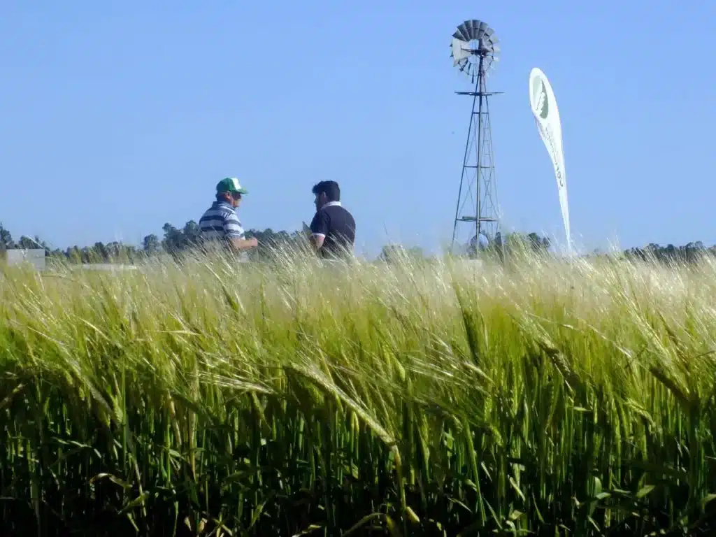 Jornada de Cebada - Orense 2024