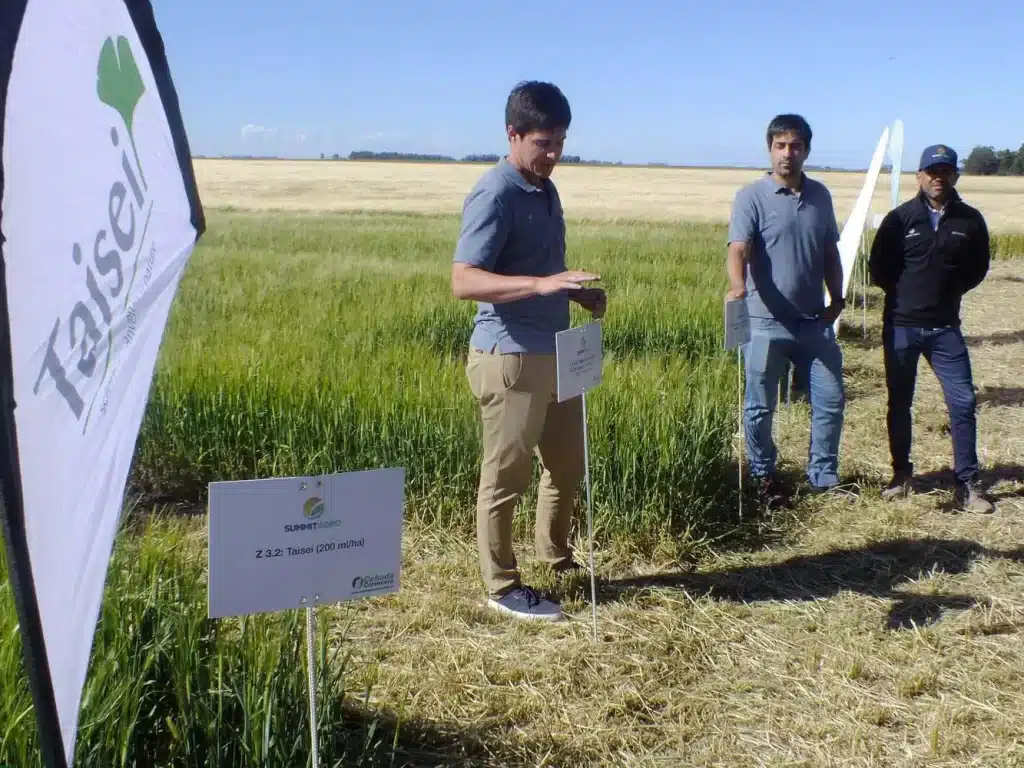 Jornada de Cebada - Orense 2024