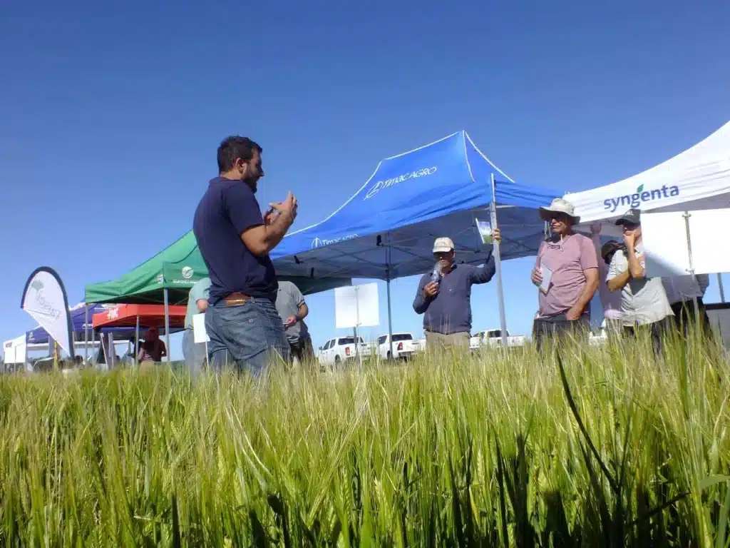 Jornada de Cebada - Orense 2024