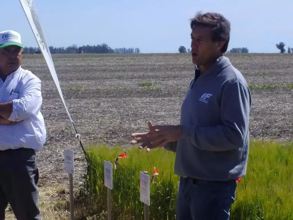 Jornada de Cebada - Orense 2024