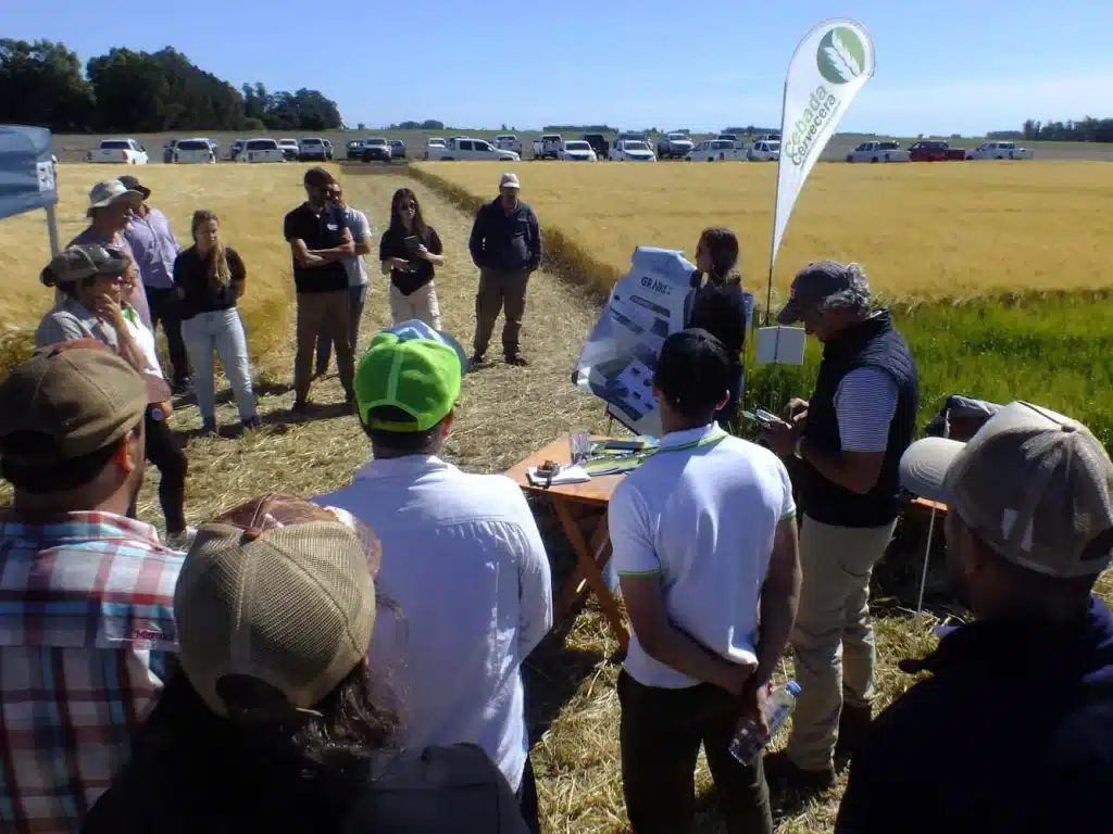 Jornada de Cebada - Orense 2024