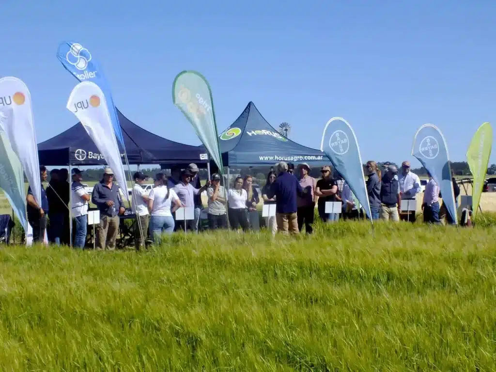 Jornada de Cebada - Orense 2024