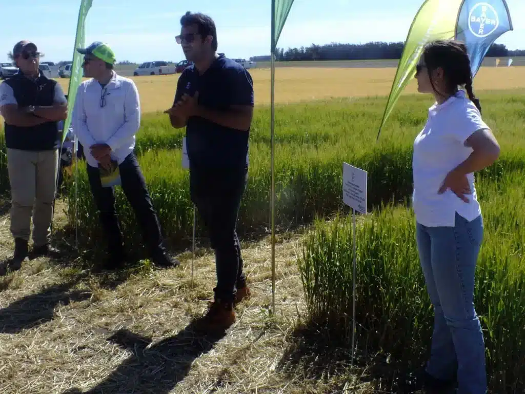 Jornada de Cebada - Orense 2024