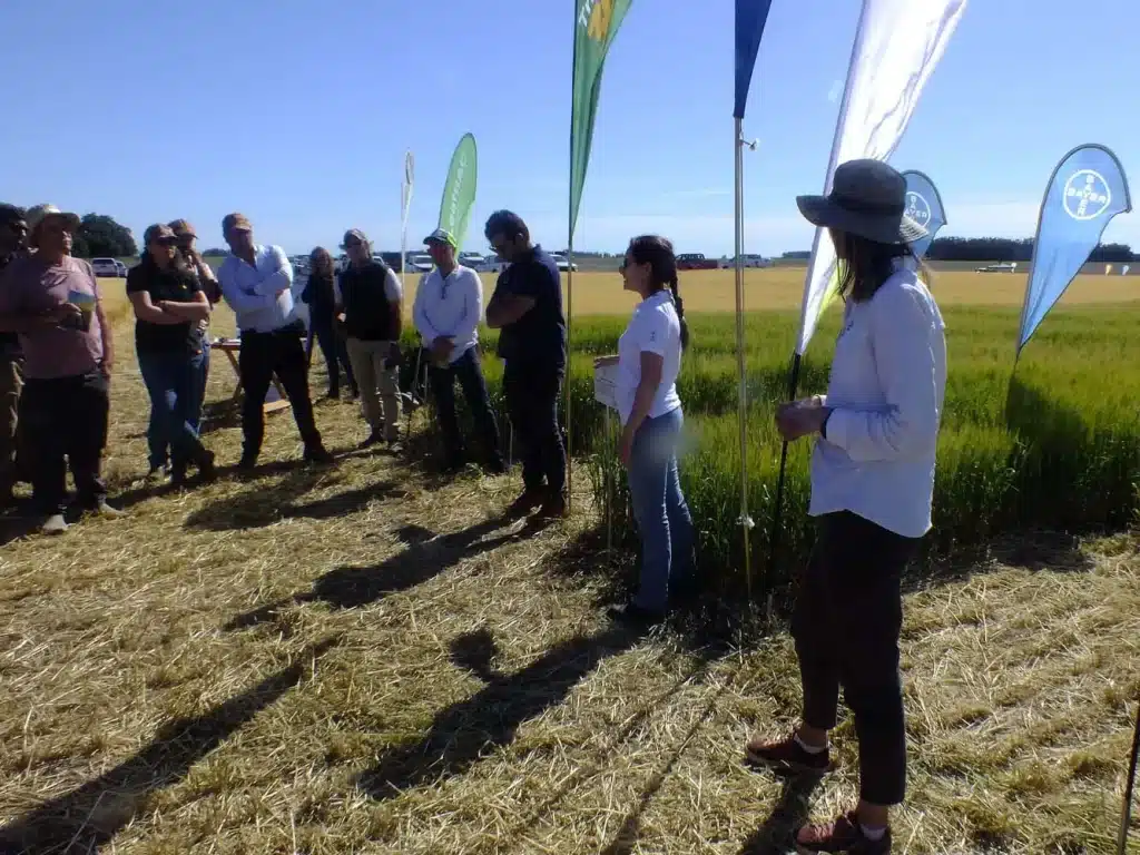 Jornada de Cebada - Orense 2024