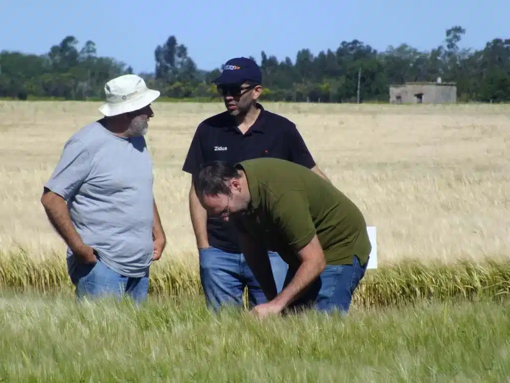 Jornada de Cebada - Orense 2024