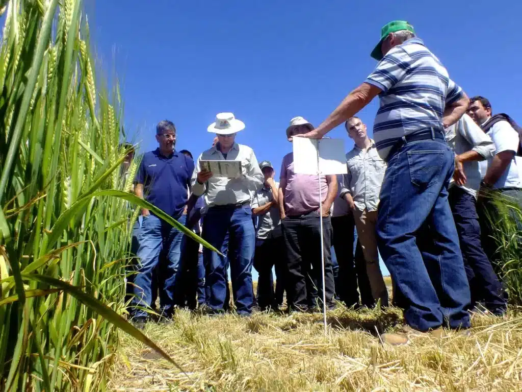 Jornada de Cebada - Orense 2024