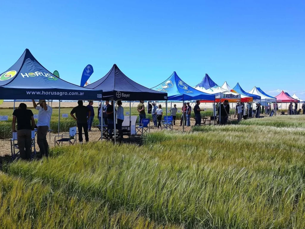 Jornada de Cebada - Orense 2024