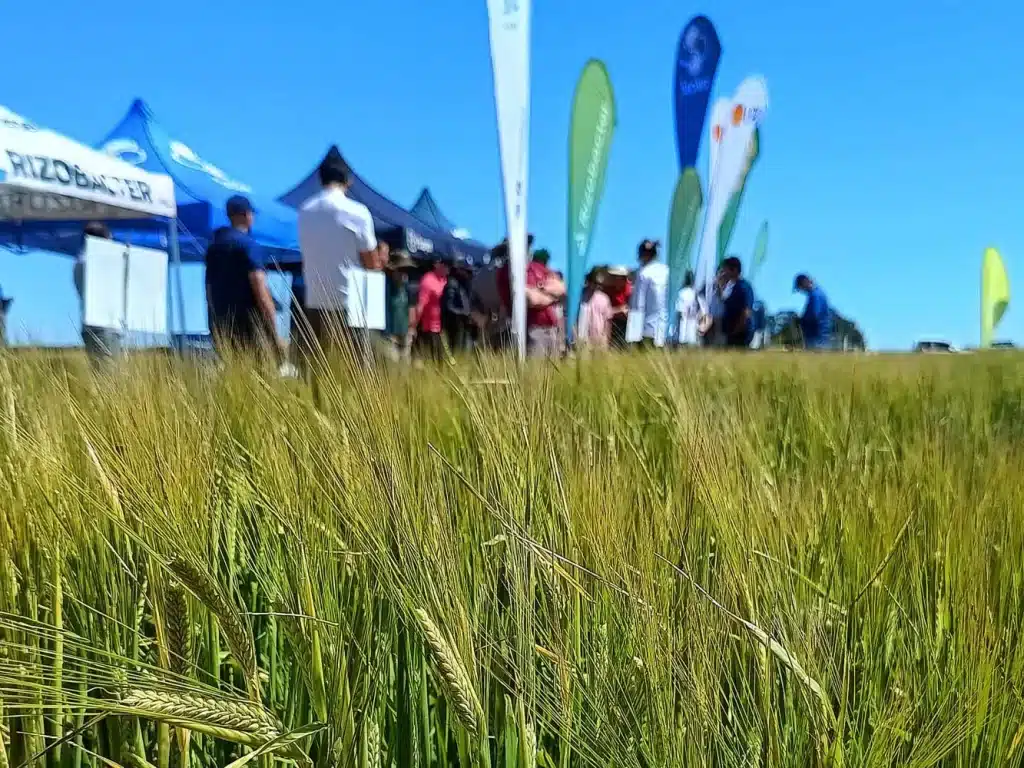 Jornada de Cebada - Orense 2024