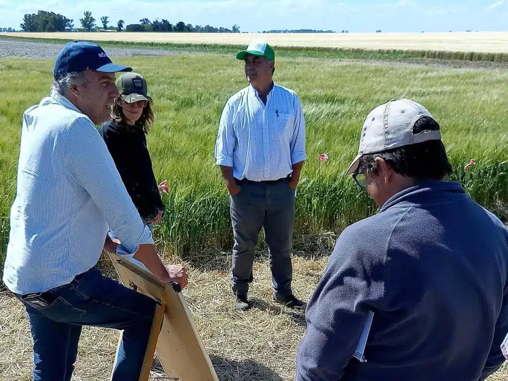 Jornada de Cebada - Orense 2024