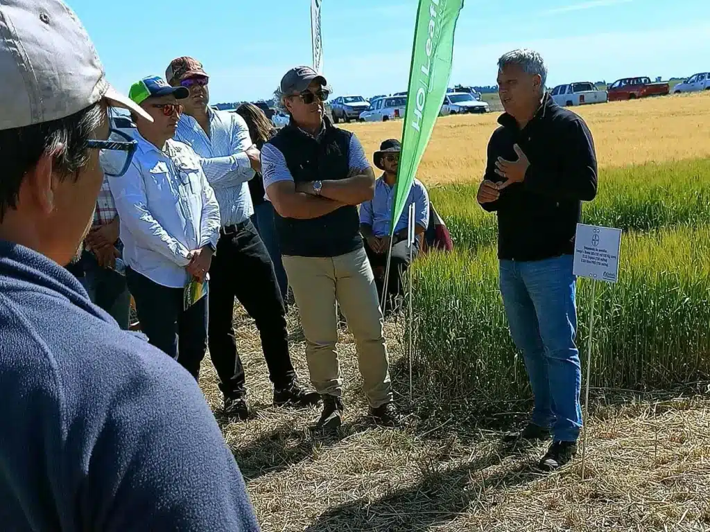 Jornada de Cebada - Orense 2024