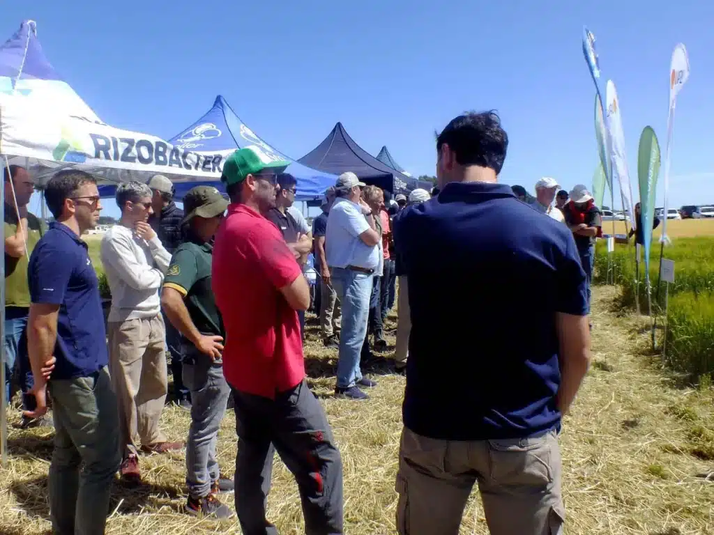 Jornada de Cebada - Orense 2024