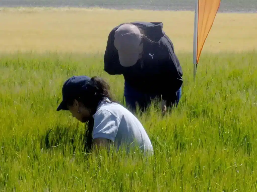 Jornada de Cebada - Orense 2024