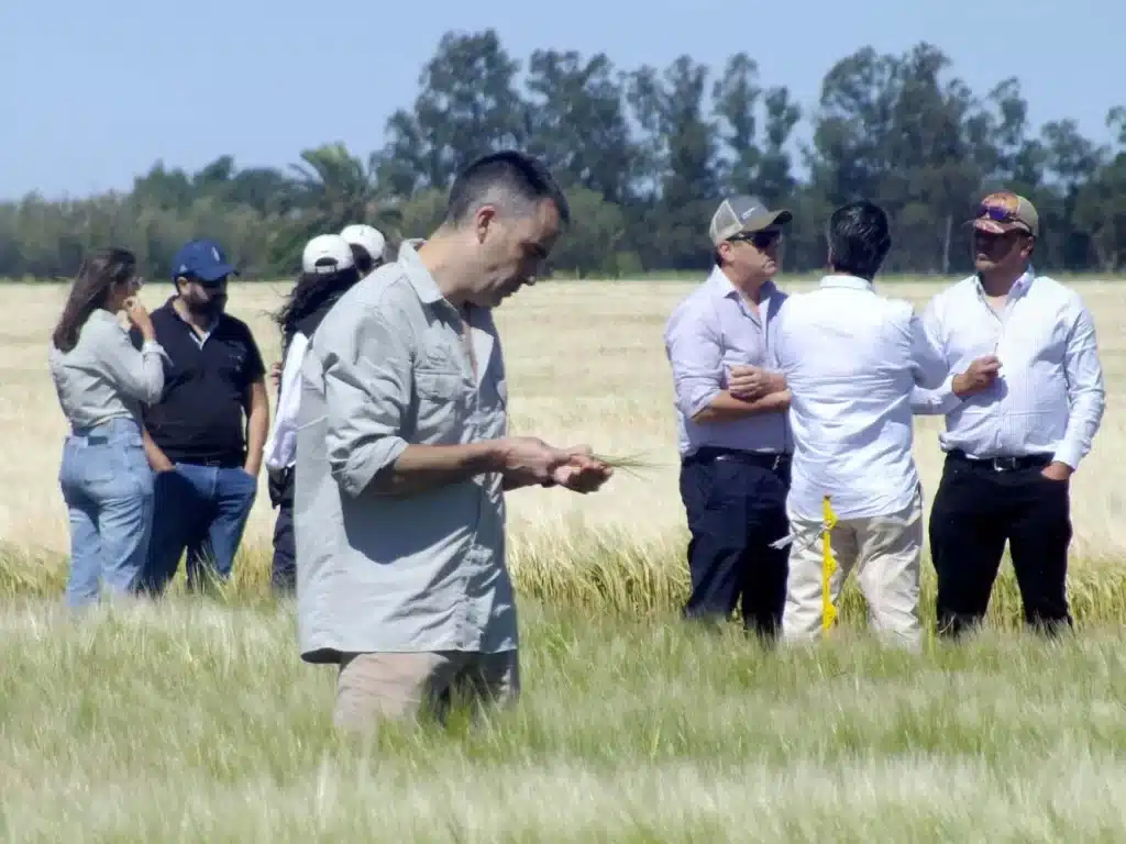 Jornada de Cebada - Orense 2024