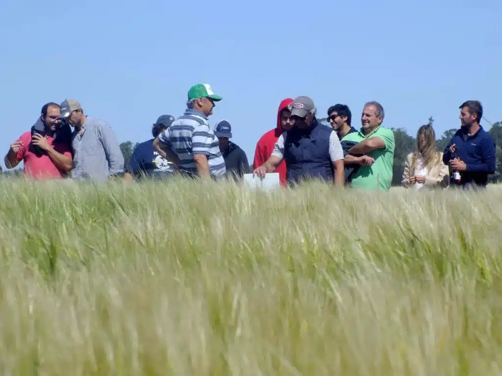 Jornada de Cebada - Orense 2024