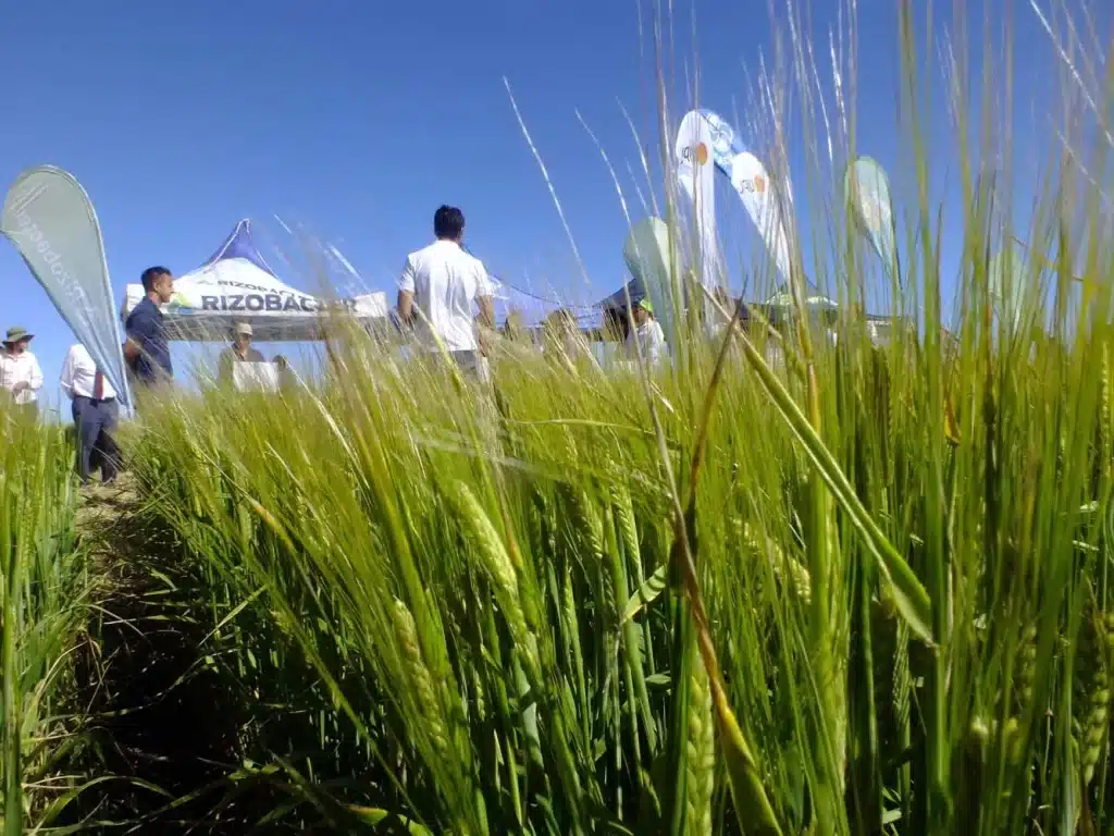 Jornada de Cebada - Orense 2024