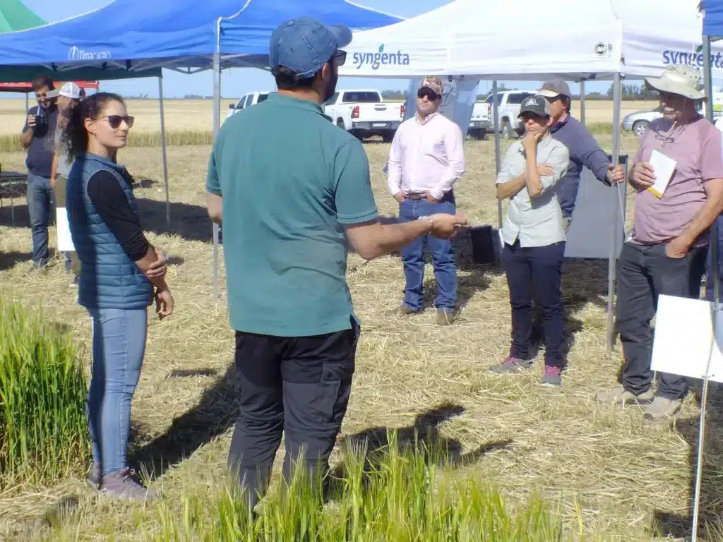 Jornada de Cebada - Orense 2024