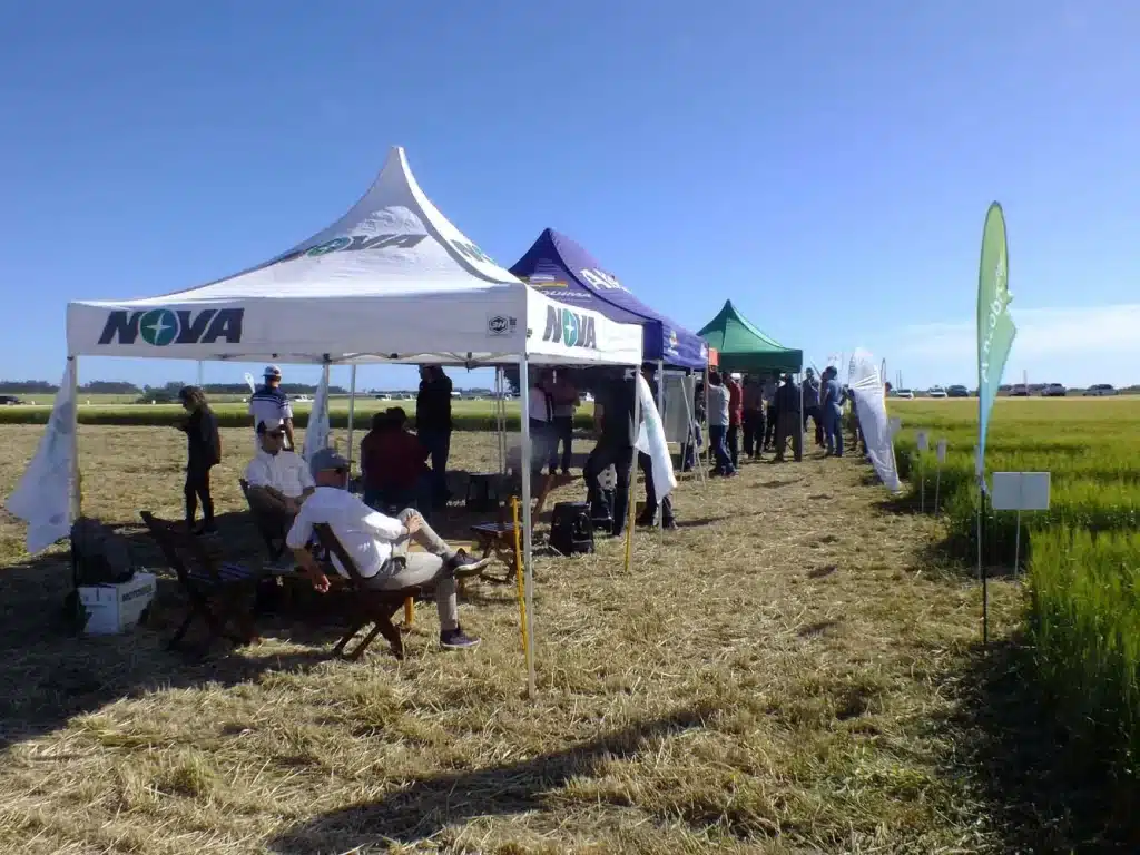 Jornada de Cebada - Orense 2024