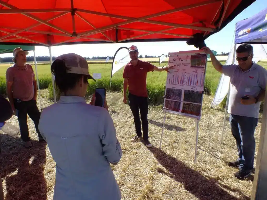 Jornada de Cebada - Orense 2024