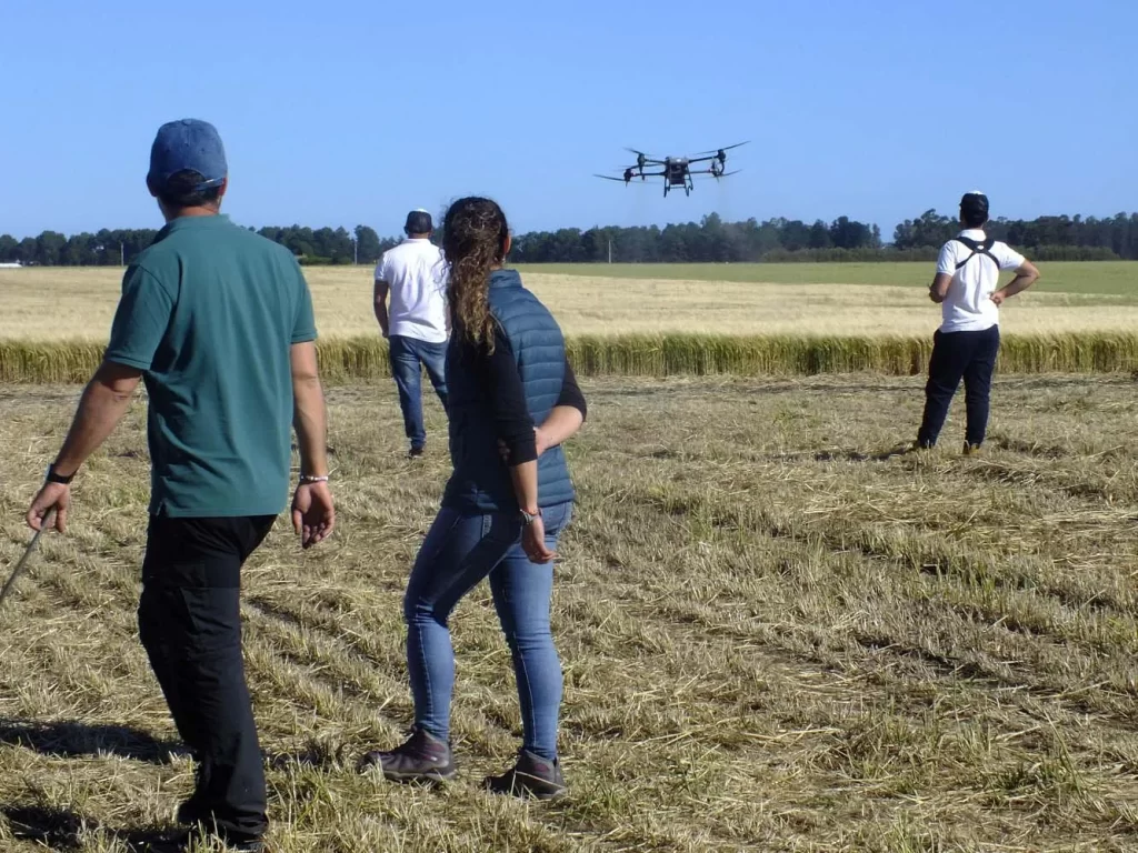 Jornada de Cebada - Orense 2024