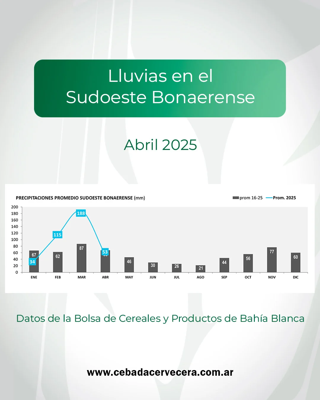 Lluvias en el Sudoeste bonaerense
