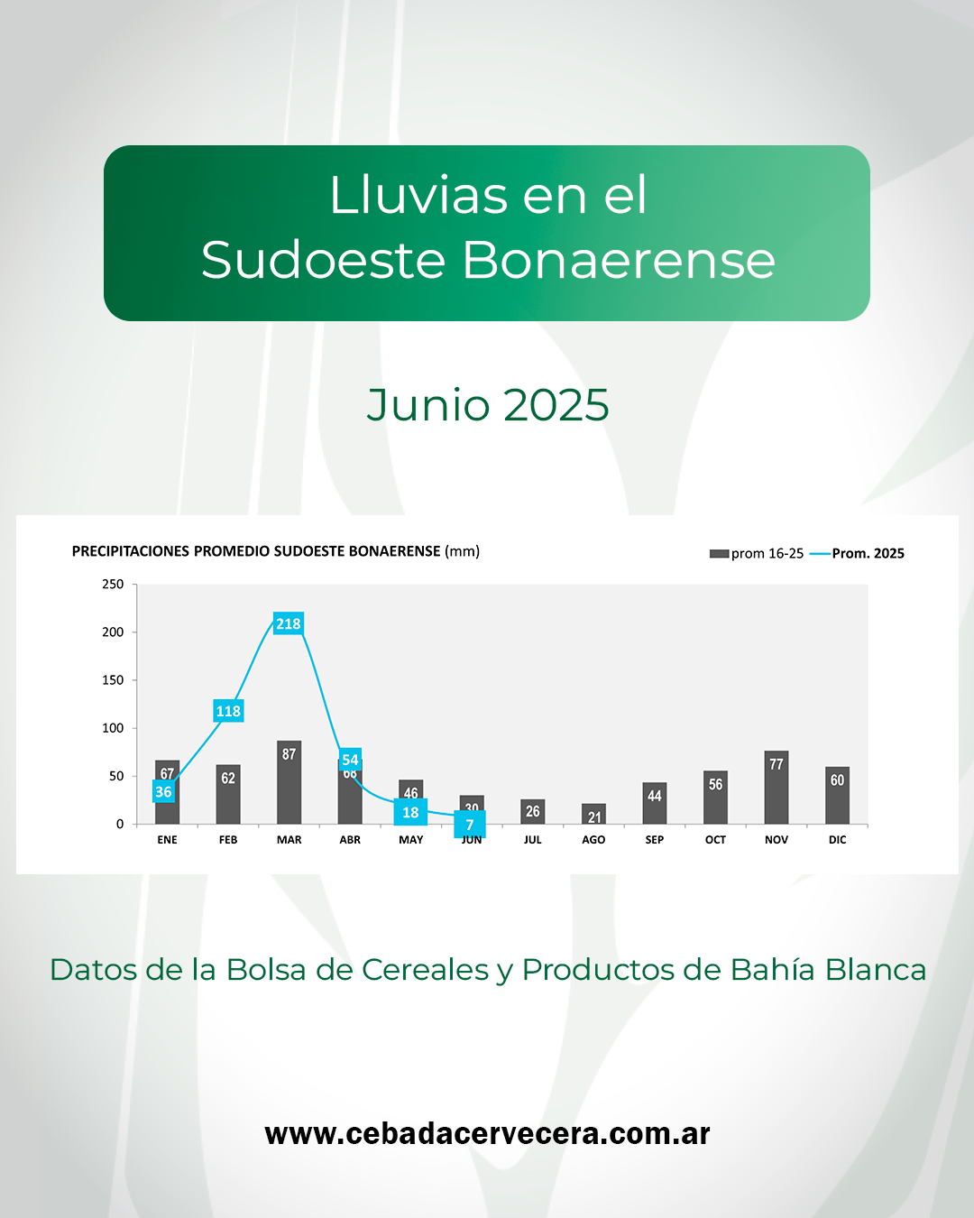 Lluvias en el Sudoeste bonaerense