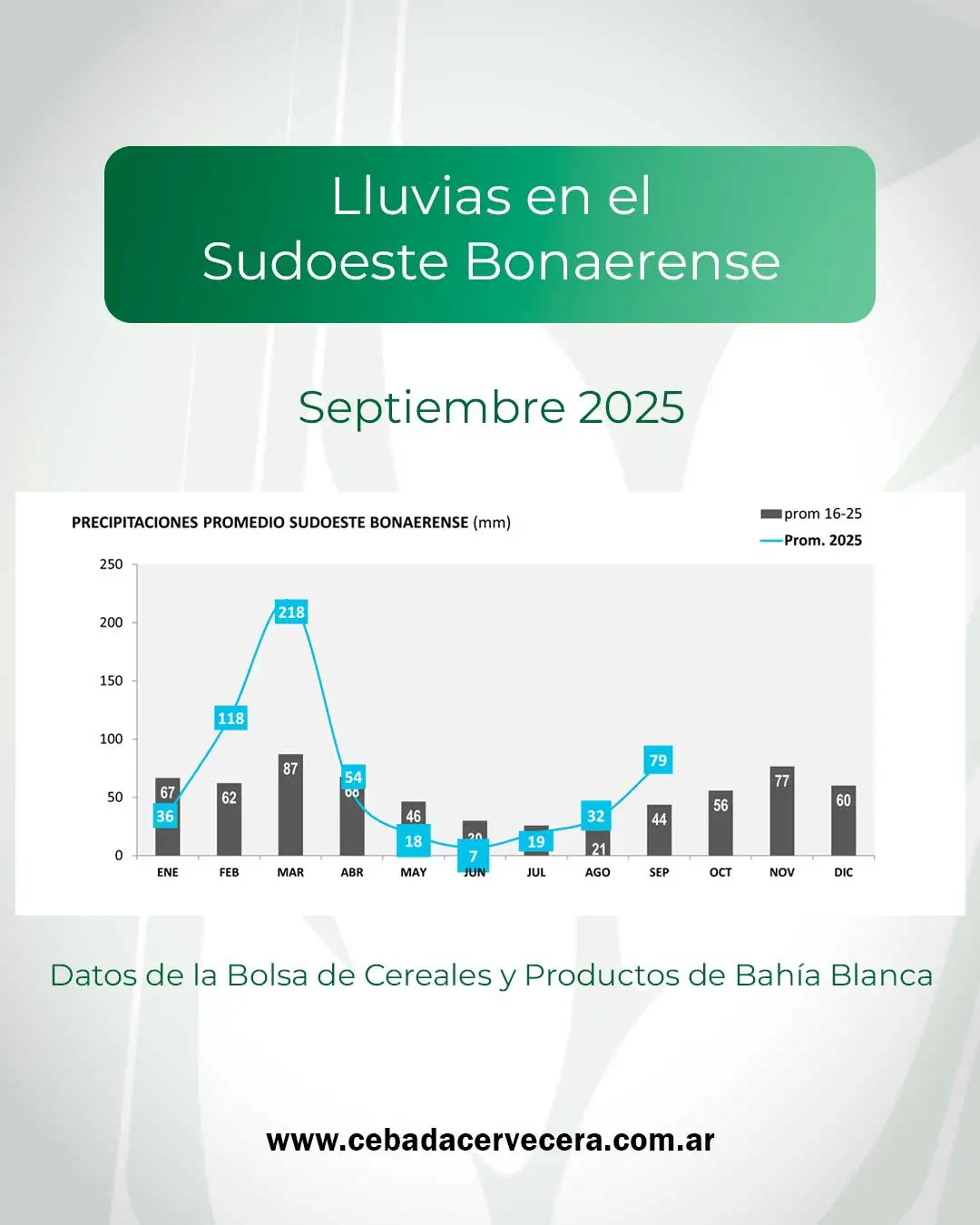 Lluvias en el Sudoeste bonaerense