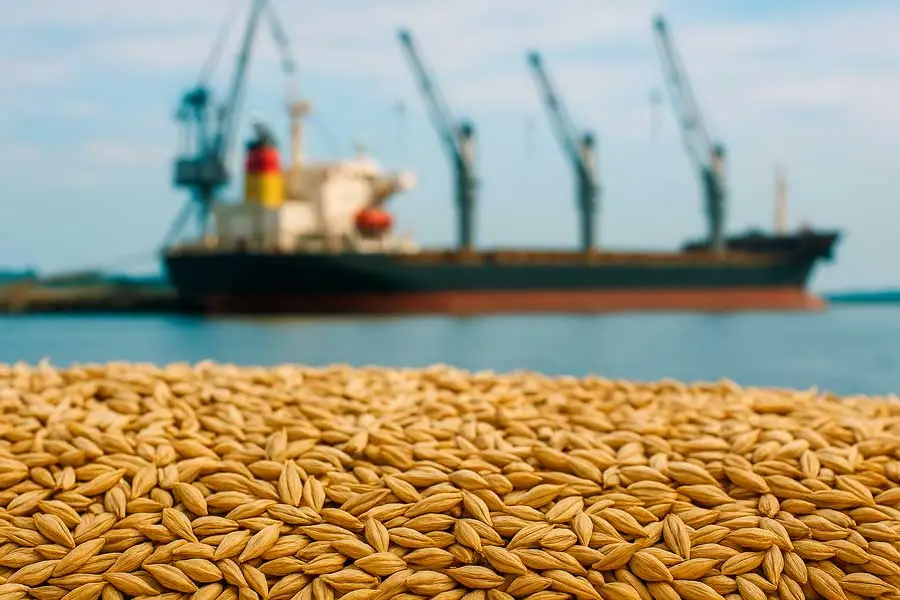 Exportaciones Argentinas de Cebada