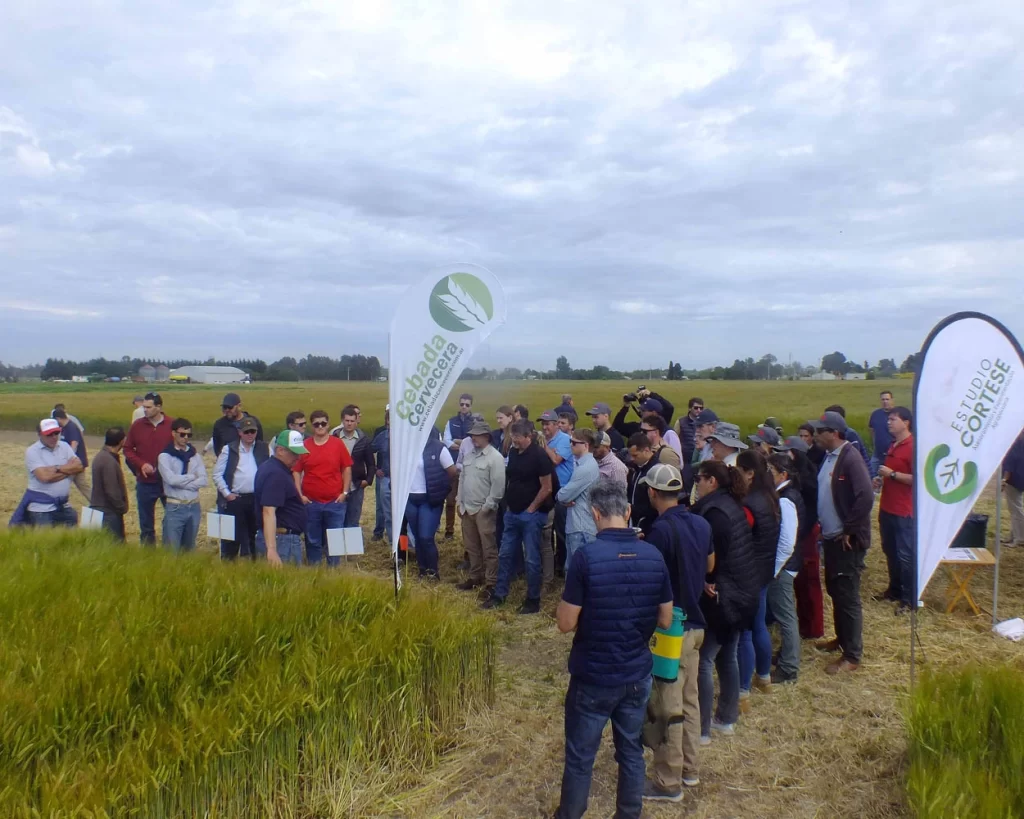 Jornada de Cebada - Orense - 2025