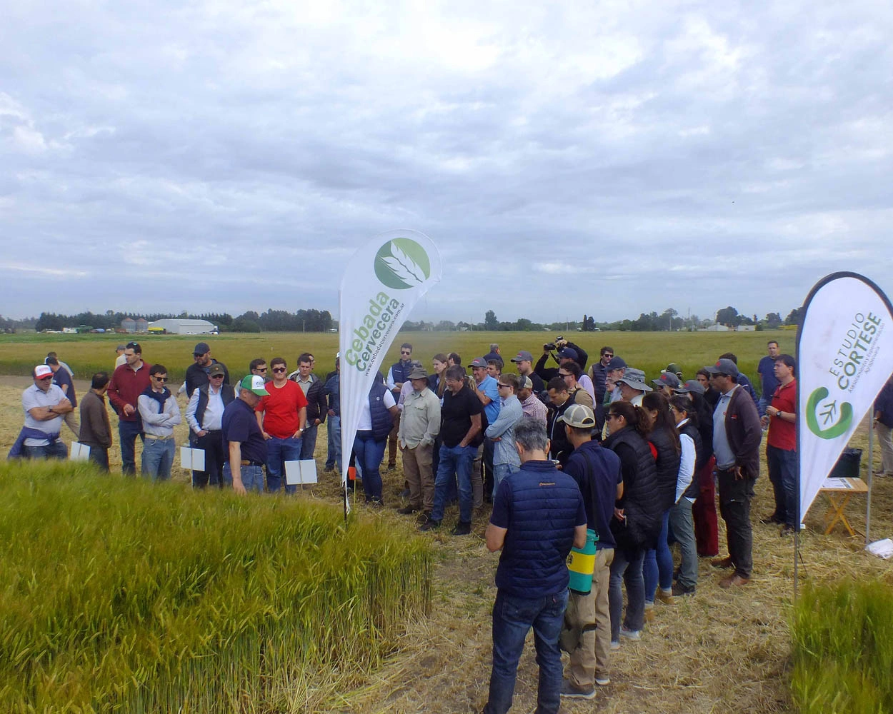 Jornada de Cebada - Orense - 2025