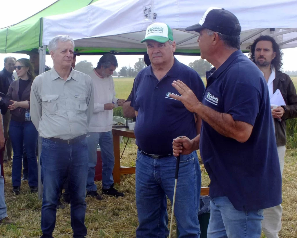 Jornada de Cebada - Orense - 2025