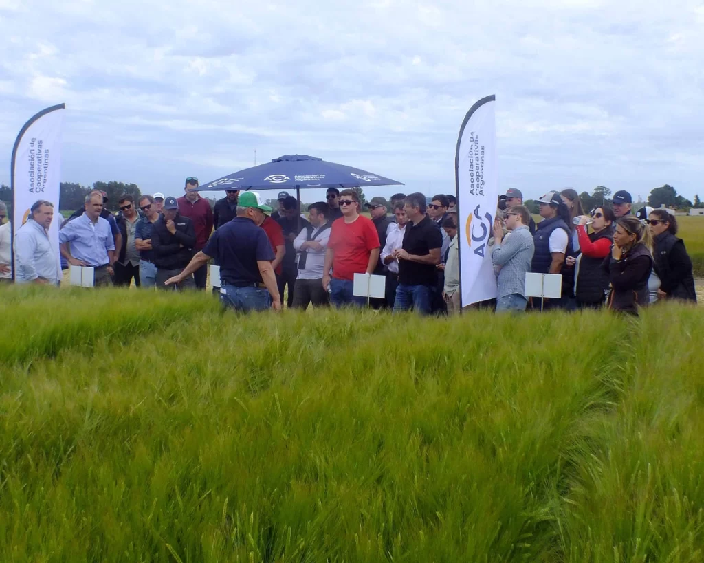 Jornada de Cebada - Orense - 2025