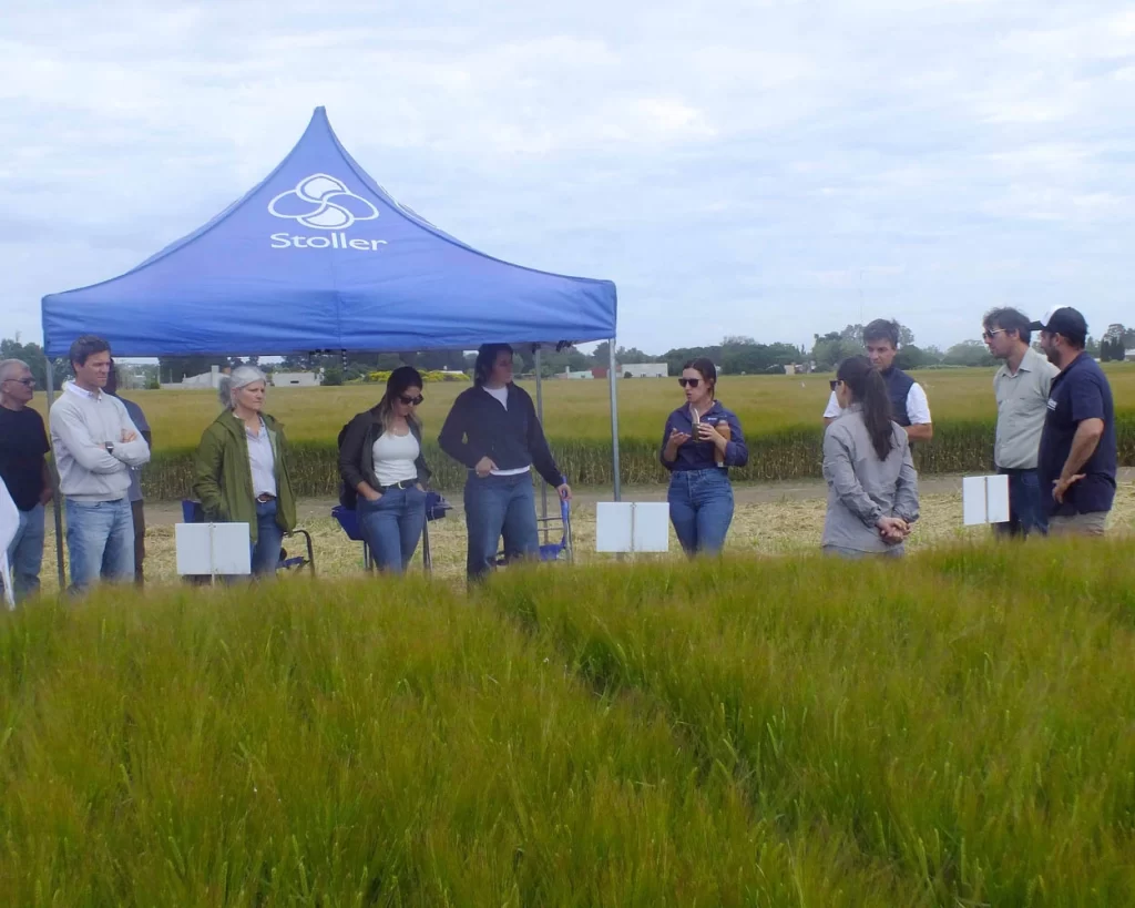 Jornada de Cebada - Orense - 2025