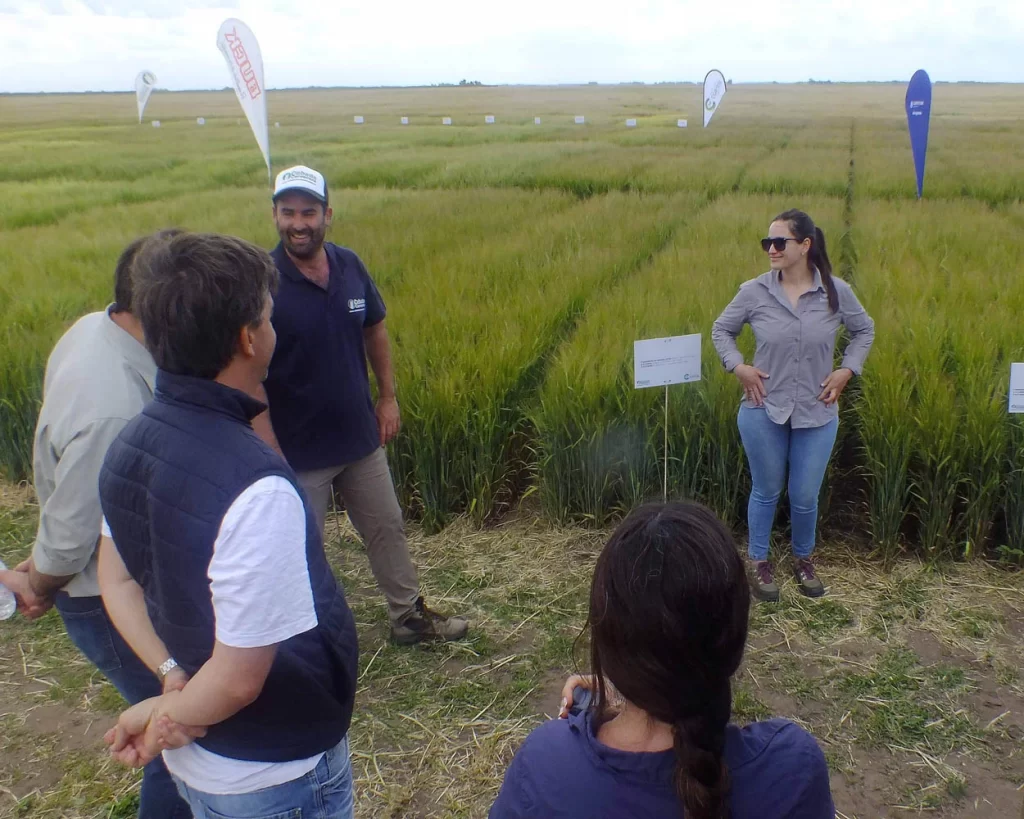 Jornada de Cebada - Orense - 2025