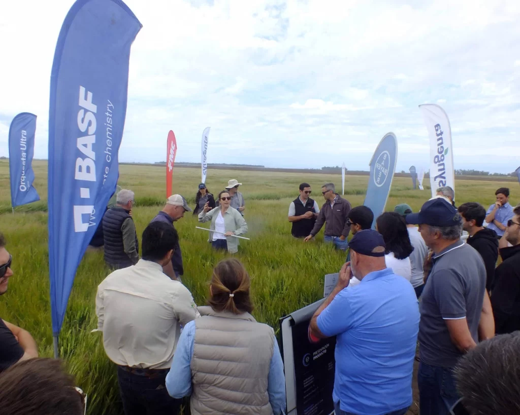 Jornada de Cebada - Orense - 2025