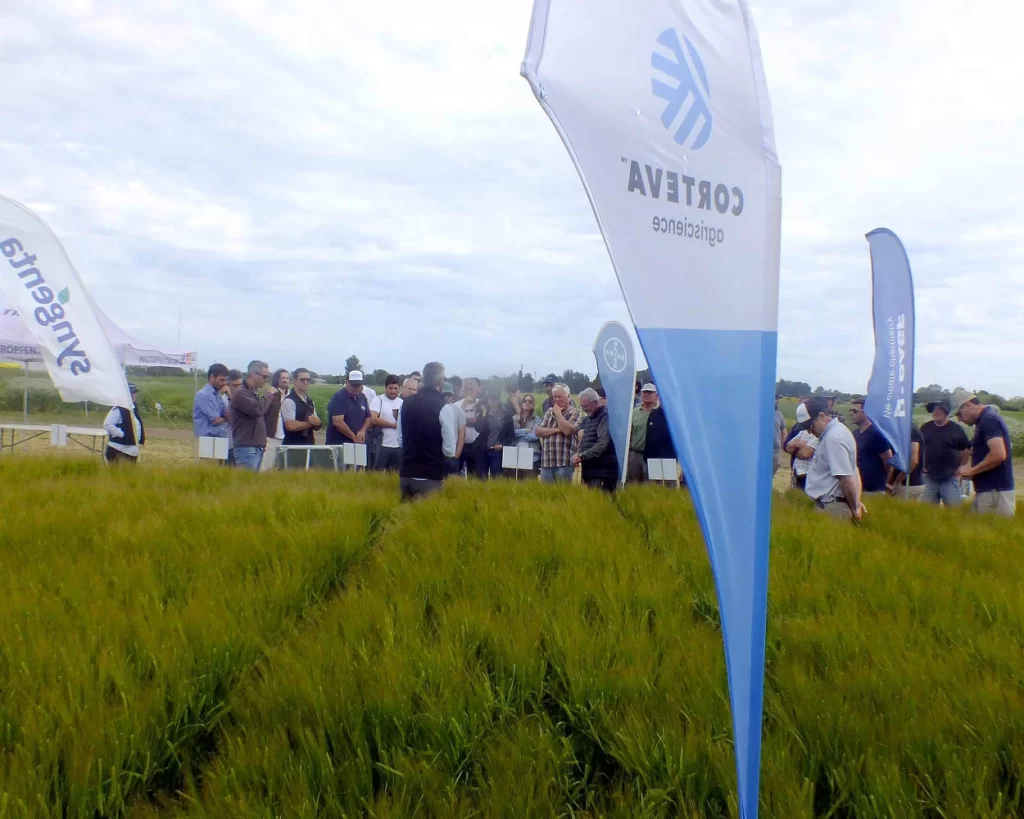 Jornada de Cebada - Orense - 2025