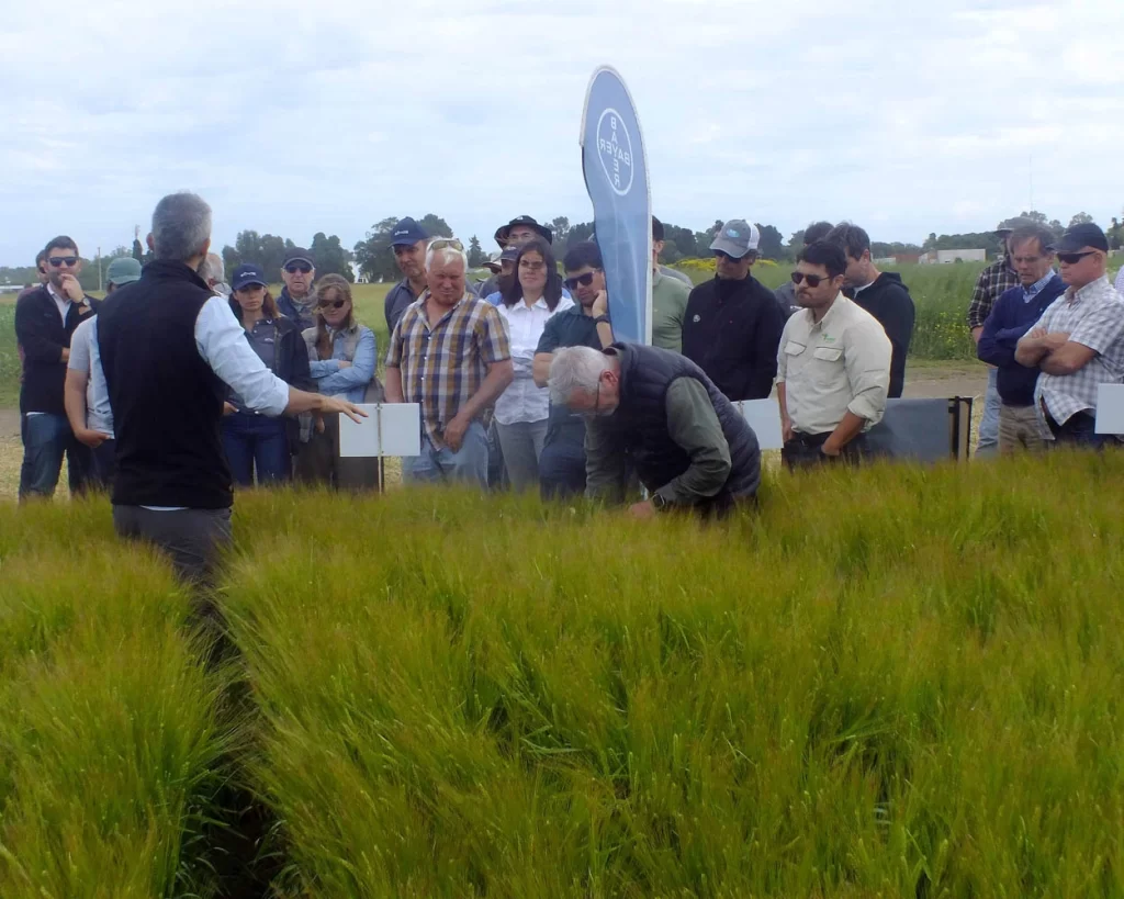 Jornada de Cebada - Orense - 2025