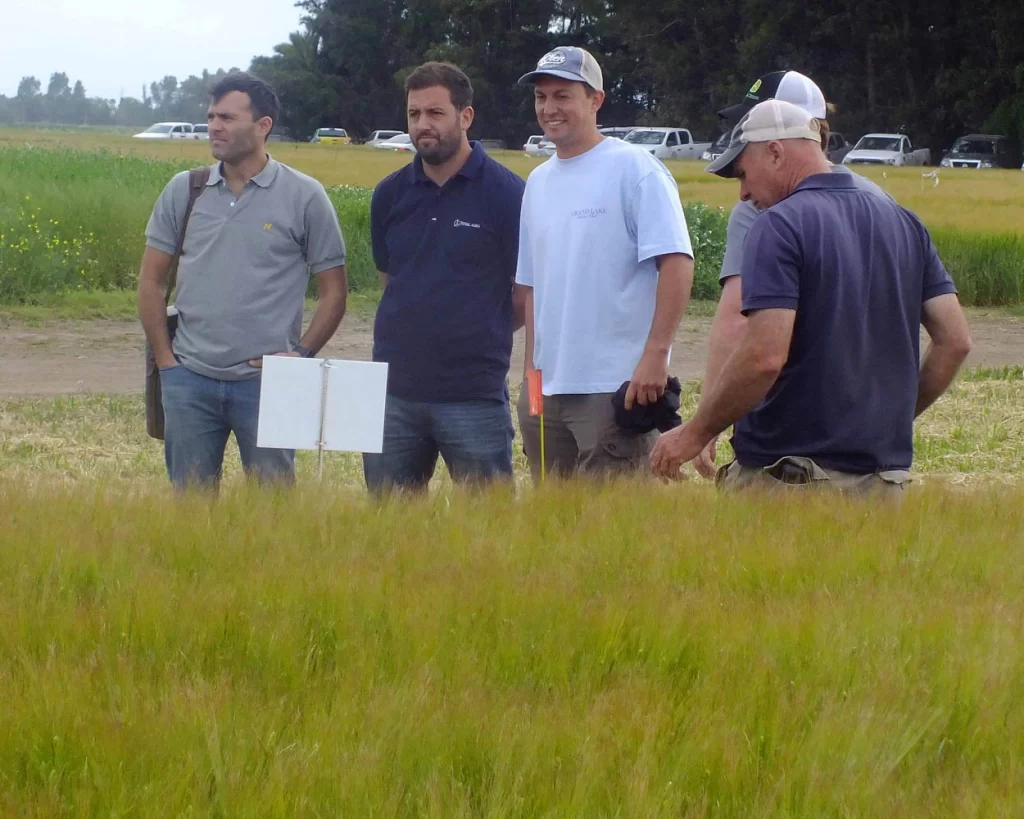 Jornada de Cebada - Orense - 2025