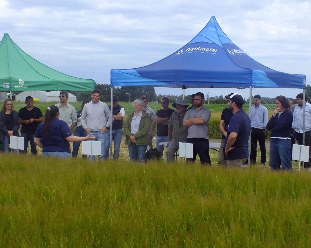 Jornada de Cebada - Orense - 2025