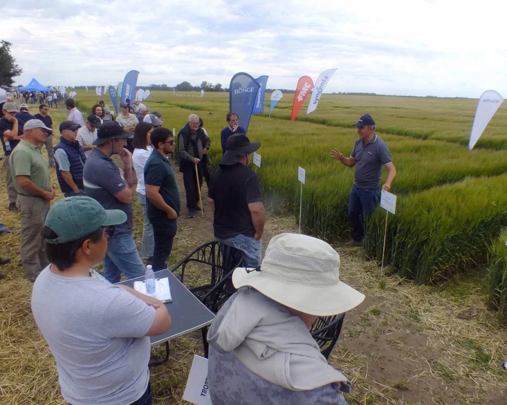 Jornada de Cebada - Orense - 2025