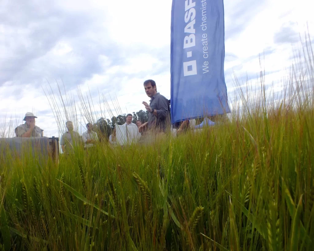 Jornada de Cebada - Orense - 2025