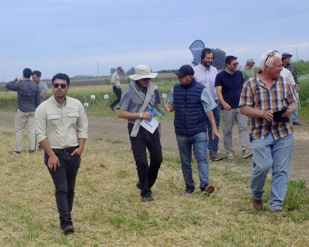 Jornada de Cebada - Orense - 2025