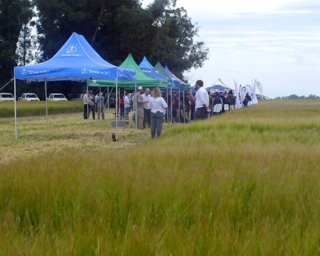Jornada de Cebada - Orense - 2025