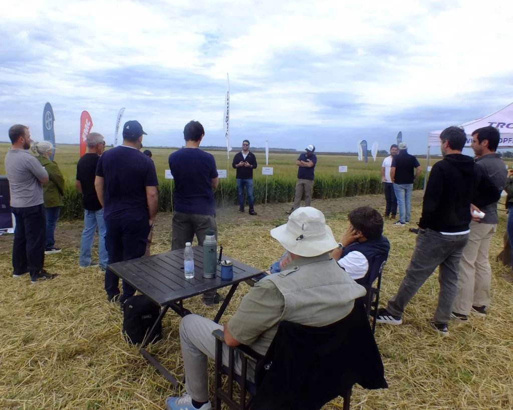 Jornada de Cebada - Orense - 2025