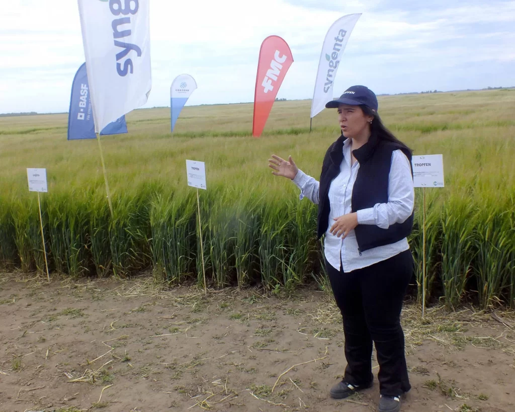 Jornada de Cebada - Orense - 2025