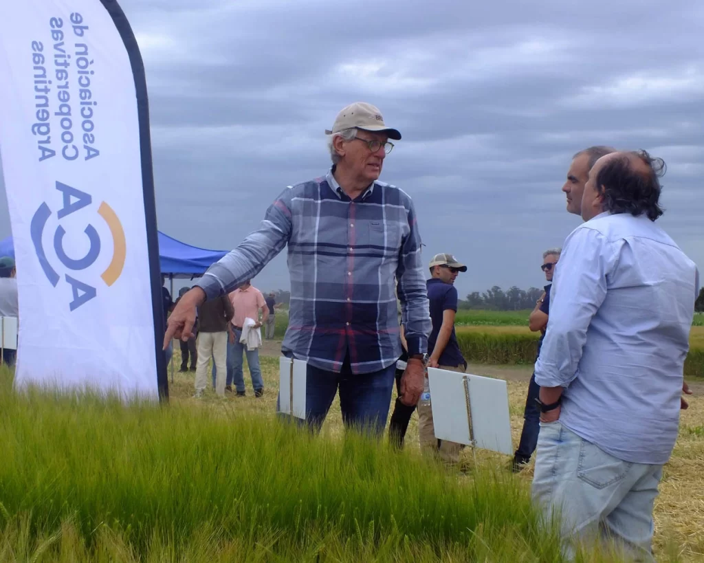 Jornada de Cebada - Orense - 2025