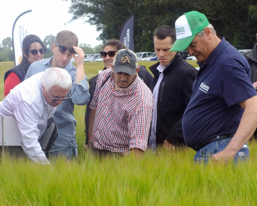 Jornada de Cebada - Orense - 2025