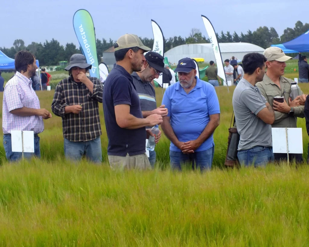 Jornada de Cebada - Orense - 2025